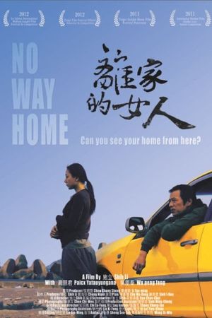 No Way Home's poster