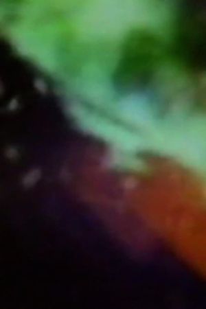 Bent Light's poster