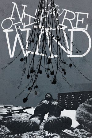 The Nature of Wind's poster