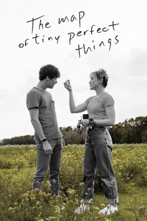 The Map of Tiny Perfect Things's poster