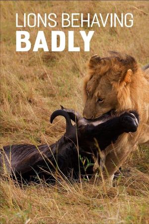 Lions Behaving Badly's poster