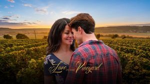 Love in the Vineyard's poster