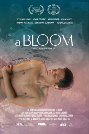 A Bloom's poster