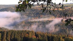 The Black Forest - Mystischer Schwarzwald's poster