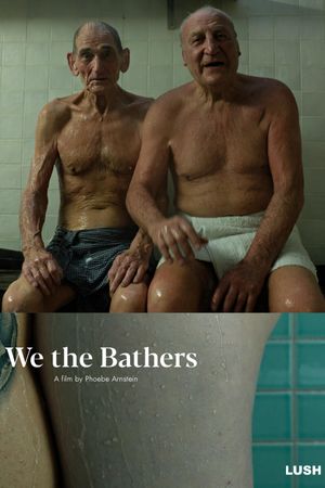 We the Bathers's poster