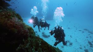 Chasing the Light: Norfolk Island's poster