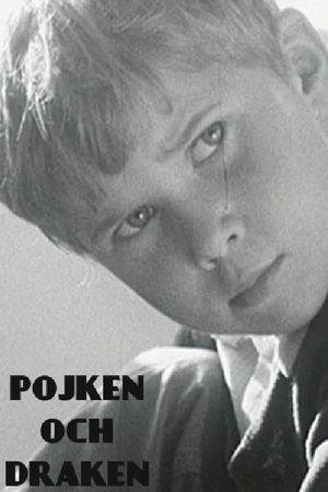 The Boy and the Kite's poster