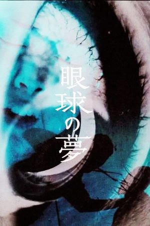 The Eye's Dream's poster