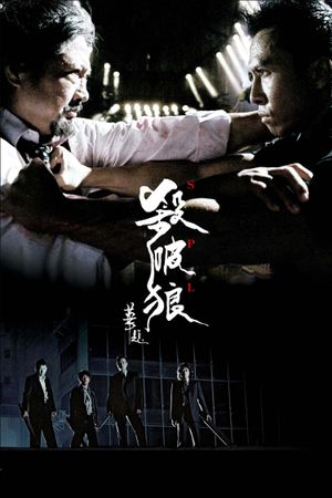 Kill Zone's poster