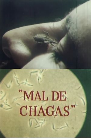 Mal de chagas's poster