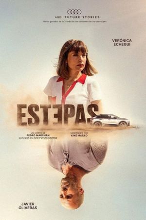 Estepas's poster image