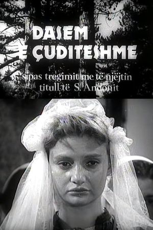 Dasem e çuditëshme's poster