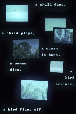 A child dies, a child plays, a woman is born, a woman dies, a bird arrives, a bird flies off's poster