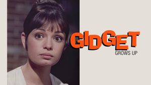 Gidget Grows Up's poster