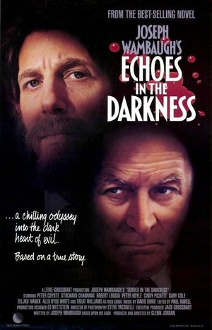 Echoes in the Darkness's poster