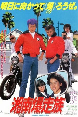 Shonan bakusozoku: Bomber Bikers of Shonan's poster image
