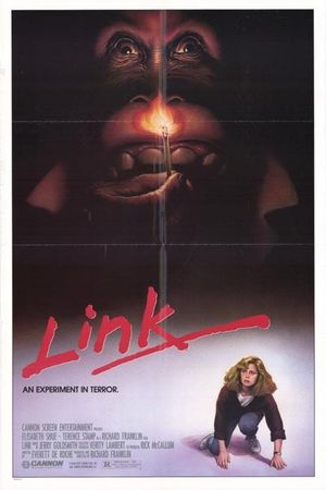 Link's poster