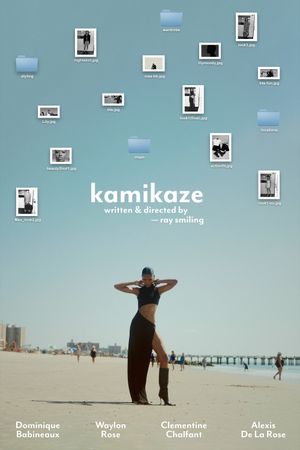 kamikaze's poster