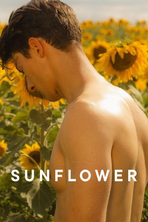 Sunflower's poster