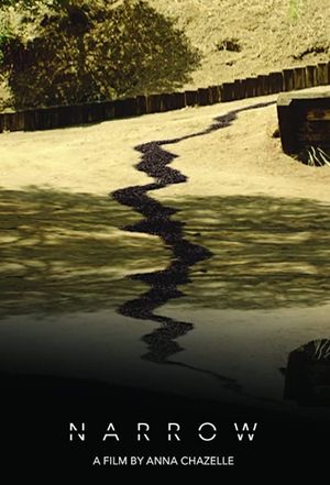 Narrow's poster