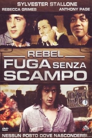 Rebel's poster