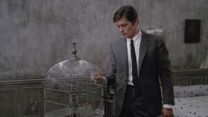 Le Samouraï's poster