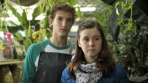 Aurelie Laflamme's Diary's poster
