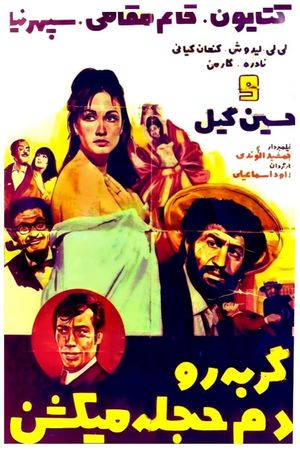 Gorbeh ro dameh hejleh mikoshan's poster