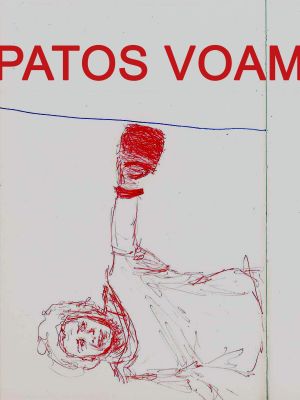 Patos Voam's poster