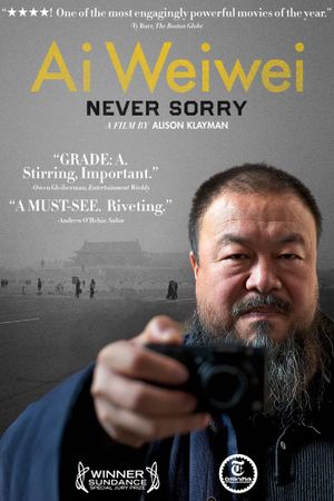 Ai Weiwei: Never Sorry's poster