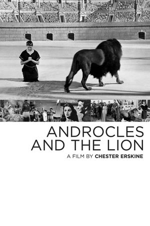Androcles and the Lion's poster