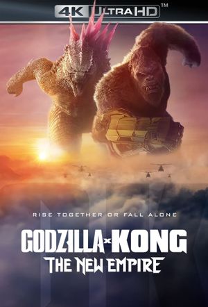 Godzilla x Kong: The New Empire's poster