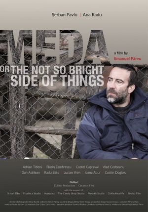 Meda or The Not So Bright Side of Things's poster