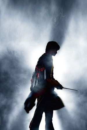 Harry Potter and the Goblet of Fire's poster