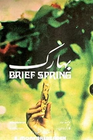 Brief Spring's poster image