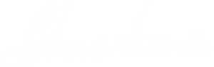 Bheeshma's poster