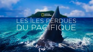 Sharks of Lost Island's poster