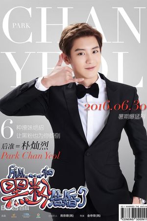 So I Married an Anti-Fan's poster