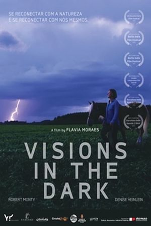 Visions in the Dark's poster