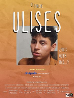 Despistados's poster