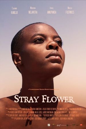 Stray Flower's poster