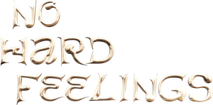 No Hard Feelings's poster