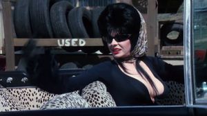 Elvira: Mistress of the Dark's poster