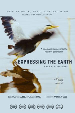 Expressing the Earth's poster image