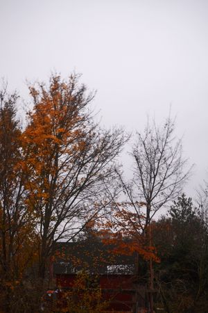 Die Farben von...'s poster