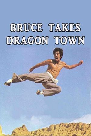 Bruce Takes Dragon Town's poster