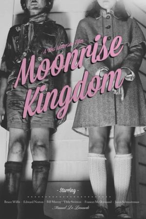 Moonrise Kingdom's poster