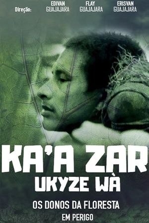 Ka’a zar ukyze wà – Os Donos da Floresta em Perigo's poster