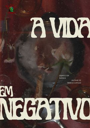 A Vida em Negativo's poster