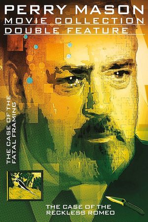 Perry Mason: The Case of the Fatal Framing's poster